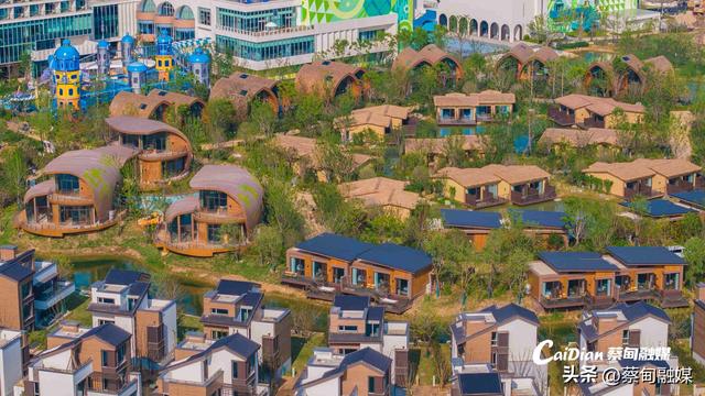 向“绿”而兴 激活高质量发展“绿色引擎” 蔡甸区加快建设人与自然和谐共生的美丽之城