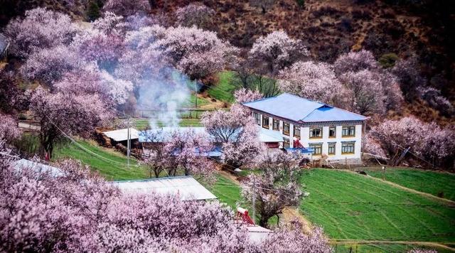 西藏的冬天美哭了！冰川蓝冰、暖阳布宫，一眼万年！