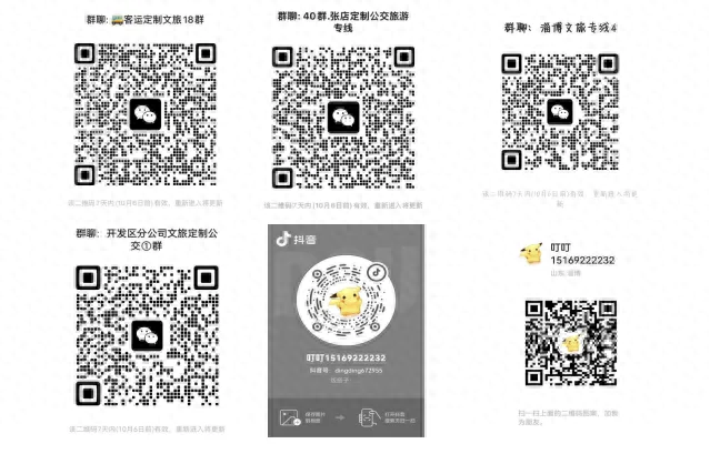 直达景点！淄博开通多条定制公交！