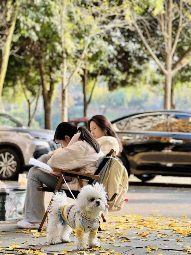 新津人的“小美满”，开启全民晒太阳模式