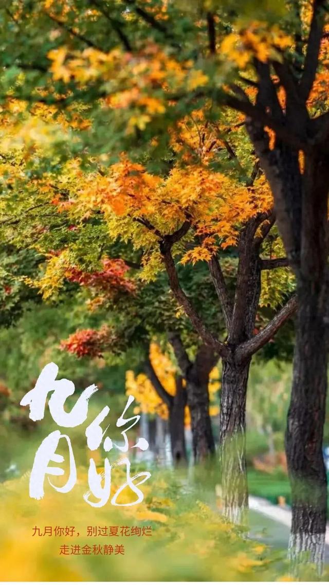 预告一场金色浪漫！德兴即将换上“季节限定皮肤”~