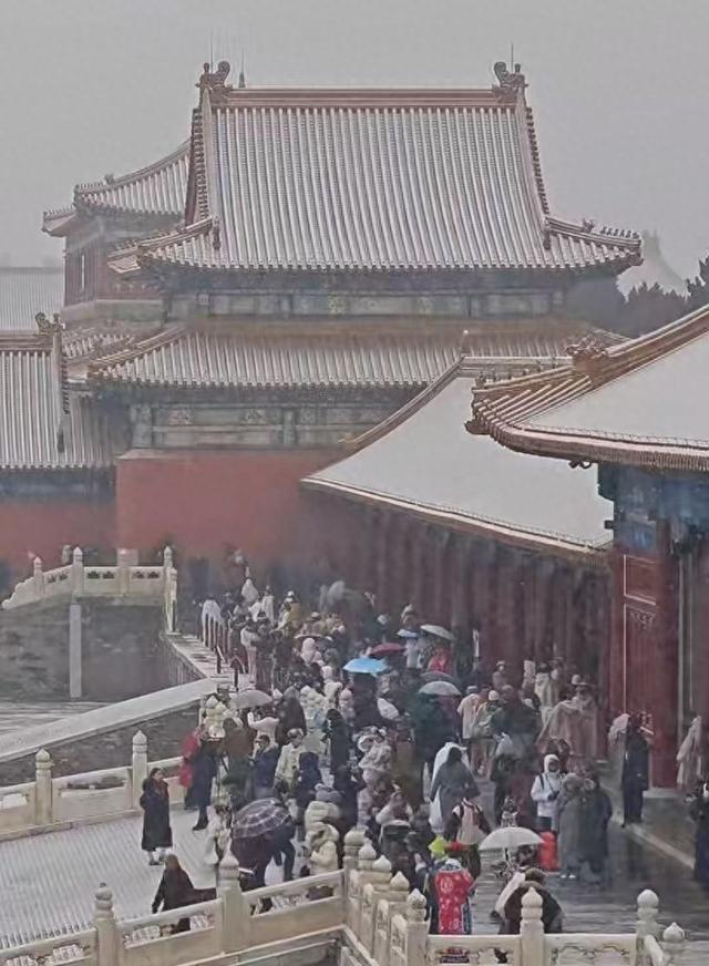 “人人人人故宫雪人人人人”！女子提前5天预约只为赴故宫赏雪，还有人专门请假进宫：今年可在午门赏雪，机会不多见