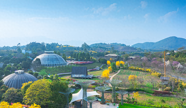 绿水青山绽新颜：长泰唐宋花仙谷打造农文旅康养融合新样本