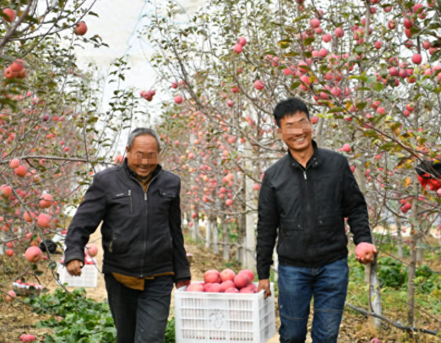 62岁大哥吃阿司匹林和利伐沙班，1年后复查，结果如何了