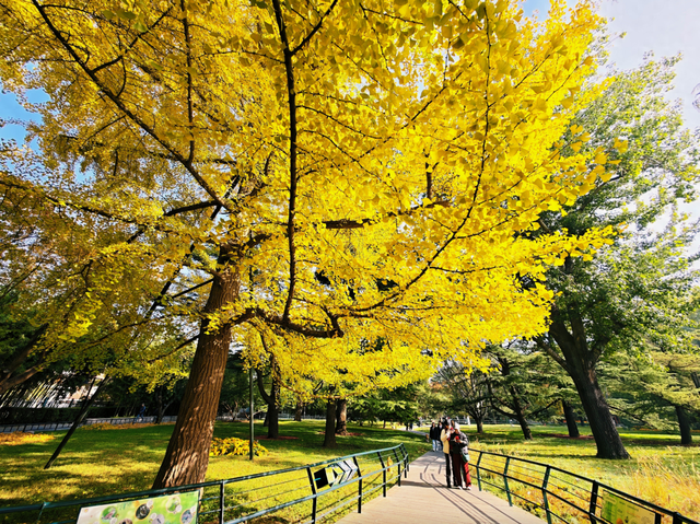 11月起，北京多个景点开放时间调整