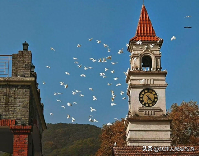 快来，浙江第三届莫干山红枫季开始了，可轻松来趟浪漫“枫”旅！