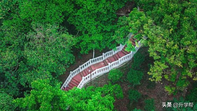 走起！新津修觉山公园升级