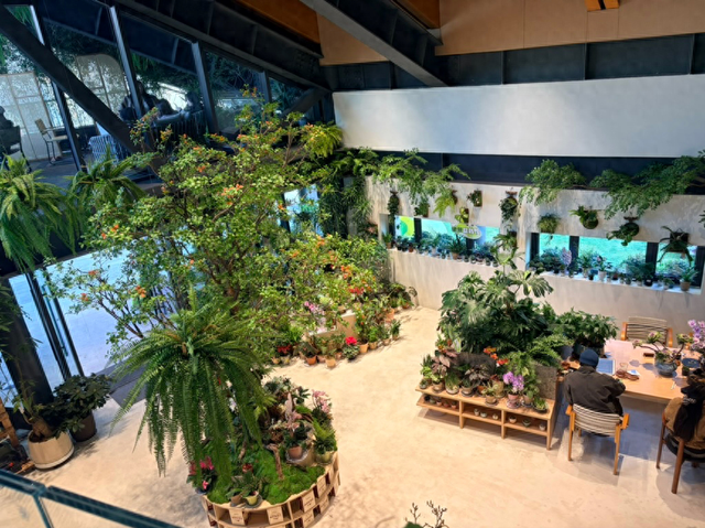 公园20分钟效应有了新去处！武汉解放公园上新“园艺咖啡”，周末客流量上千