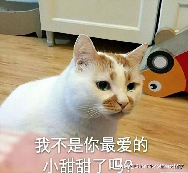 东南网