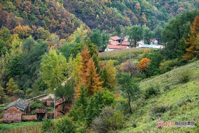 华亭关山多彩林海 解锁陇东最浓秋意