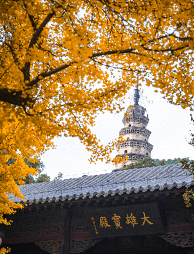 历经千年风雨，灵岩古刹金色盛宴为何“灿若新生”？