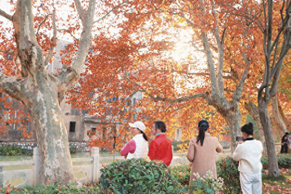 多亏了他们，最近一群丹阳人扎堆来这里！再不抓紧就晚了……