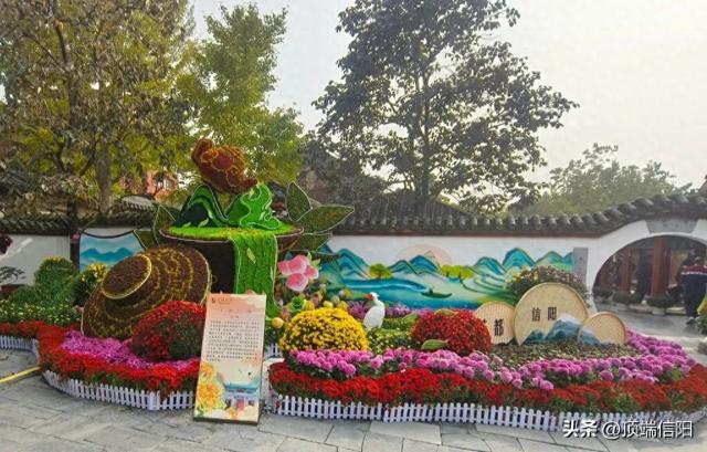 信阳市在第十五届中国菊花展览会上获佳绩