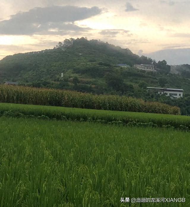 我在澜沧江-湄公河尽头