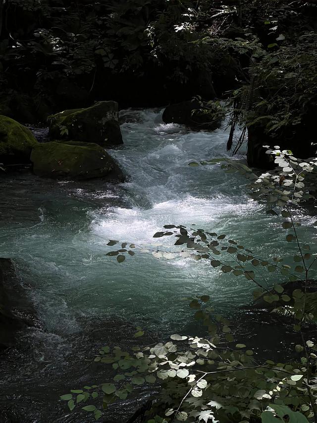 朦胧中坠入一场夏梦🍃 ​