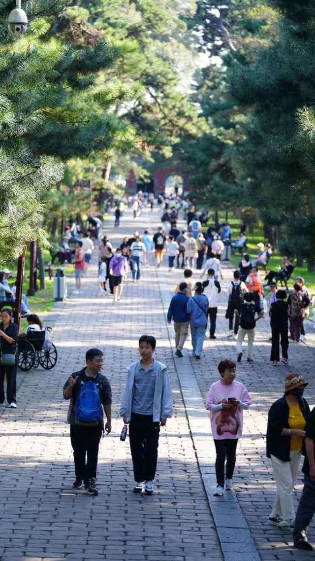 沈阳东陵公园“彩福季”圆满收官：以历史文化赋能旅游新体验，创假日经济高质量发展新范例