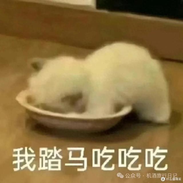 酒店的免费早餐政策汇总