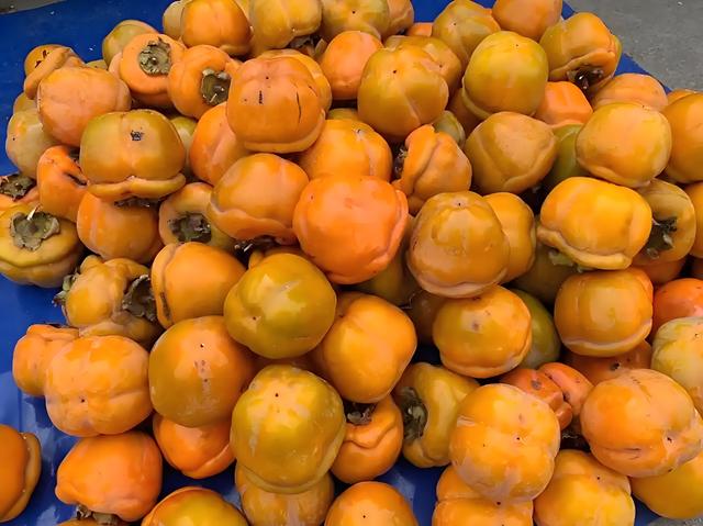 秋季有什么水果（秋天买水果）