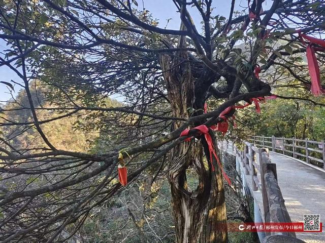 我们的节日·七夕丨有戏！大作家与莽山约会