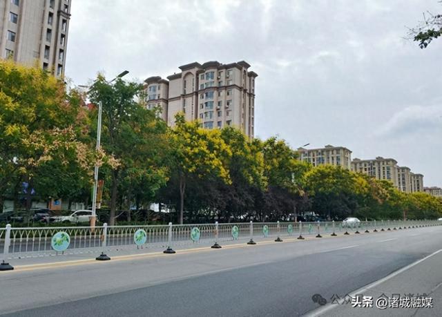 诸城这几处栾花秘境，承包了整个秋天的浪漫​