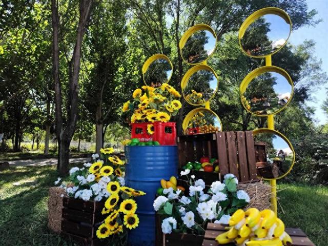 北京菊花文化节周六开幕 37天花期覆盖国庆中秋