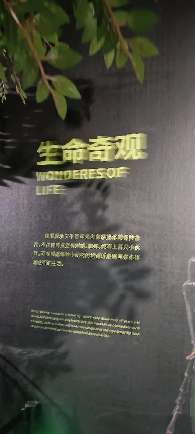 西安长安云昆虫展你来了吗