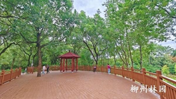 柳州市雀儿山公园观鸟平台焕新升级