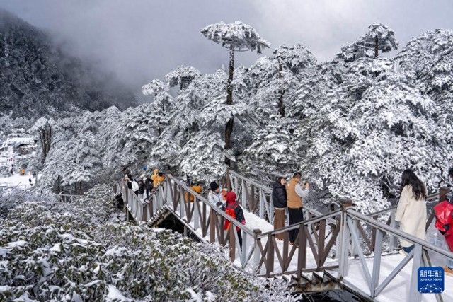 大理苍山：银装素裹美景引客来