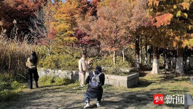 银发追光 山水享老，镇江景区成老年潮流打卡地