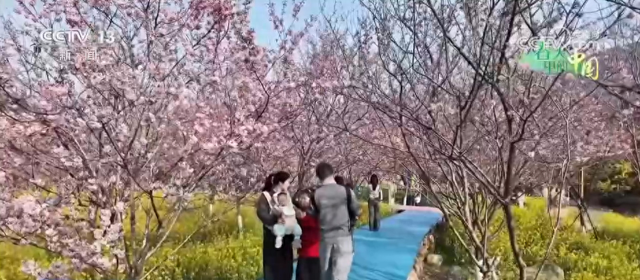 去踏青、共赏花，春意正浓！“春日经济”蓬勃绽放