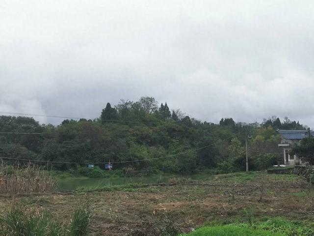 遵义新蒲：沙滩旧景有“花山”