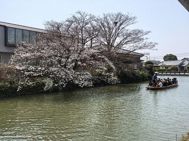 洁尘：白鸟一只，口衔红果 | 最深之水