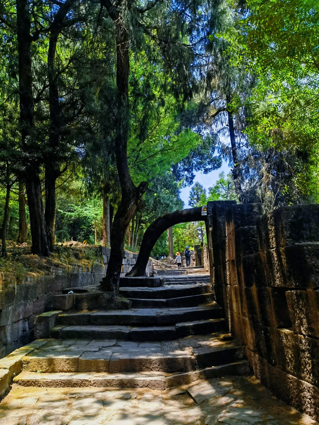 冷门！成都1h可达的龙脊古道徒步路线，人少景美，快冲！