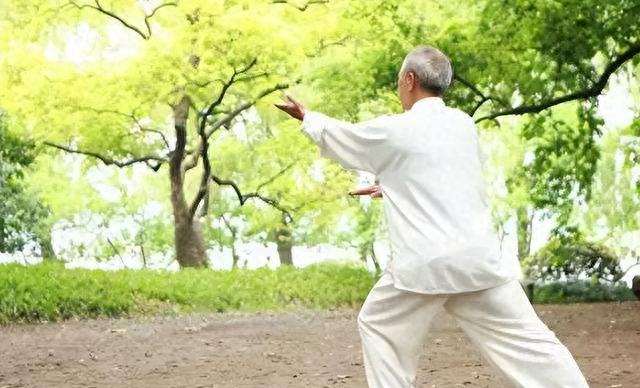 这篇文章把“太极拳的一动无有不动”说清楚了！你学会了吗？