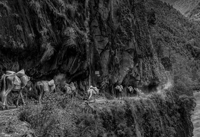 行走云南 | 茶马古道究竟有多少条？我们一起再来盘点茶马古道