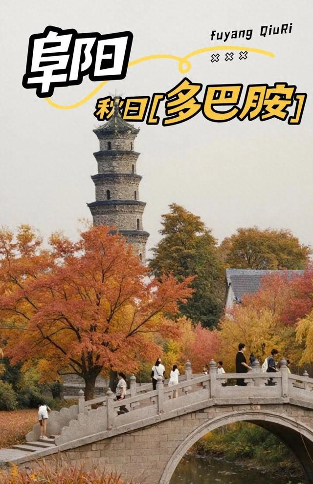 阜阳，给你点颜色看看！