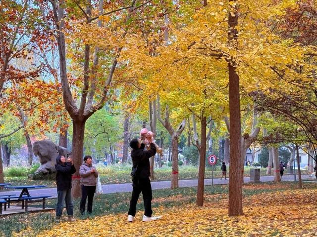 快来打卡！石家庄109座公园广场同步推出……