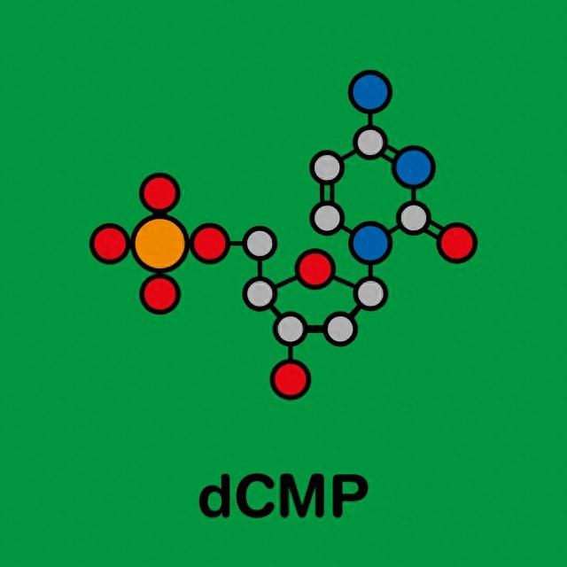 产品经理简历优化（产品经理个人能力如何提升升职更快）