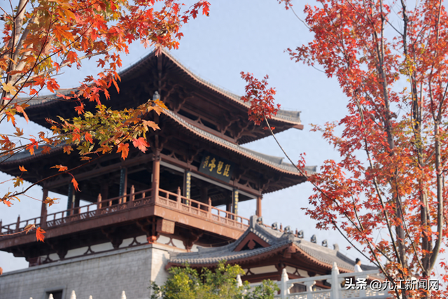 诗意浔城 色彩斑斓冬如春