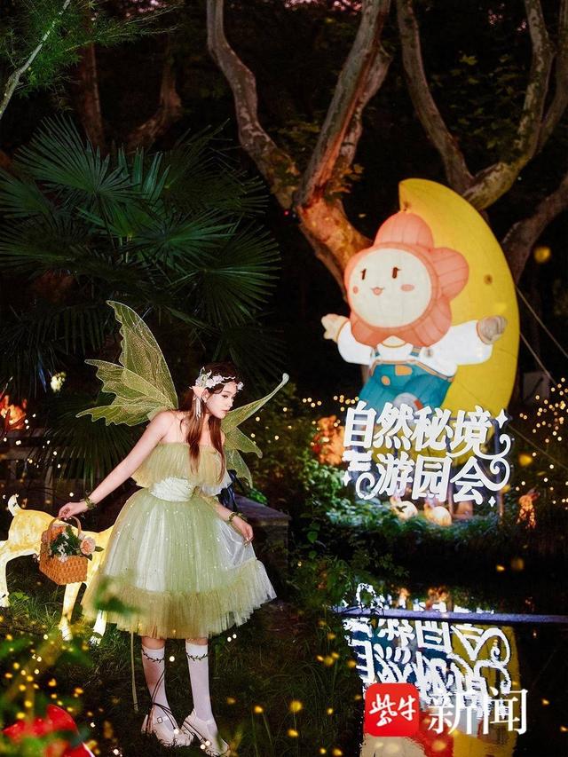 千年禅意邂逅魔法森林，常州老城厢双线夜游点亮夏夜