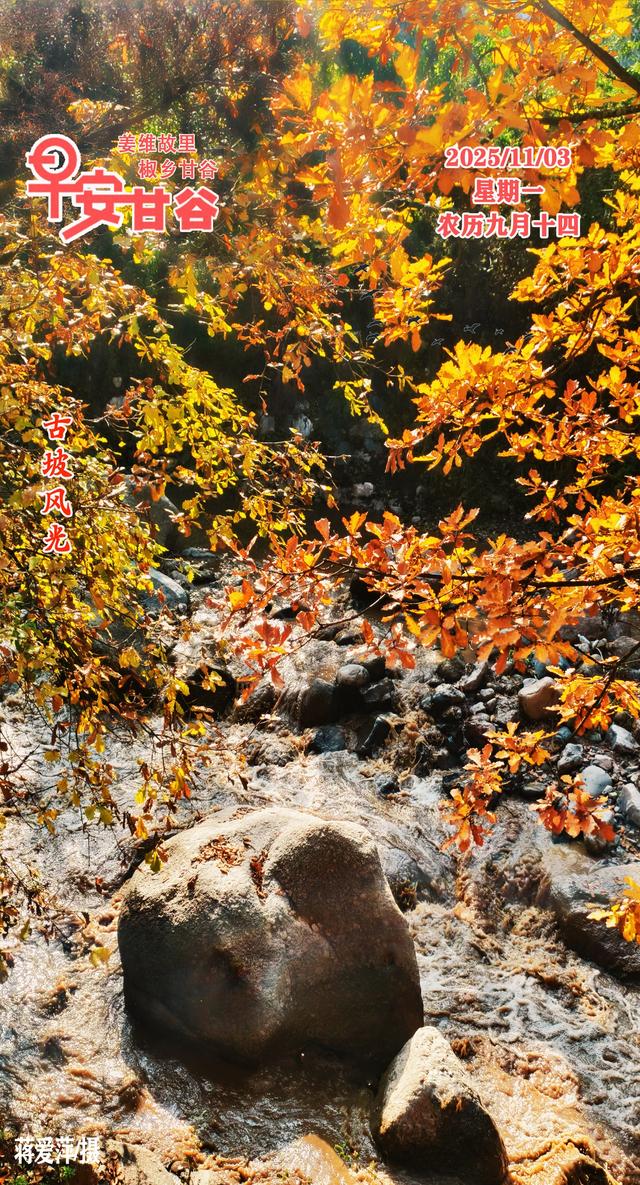 微海报 | 早安·甘谷（11月3日）