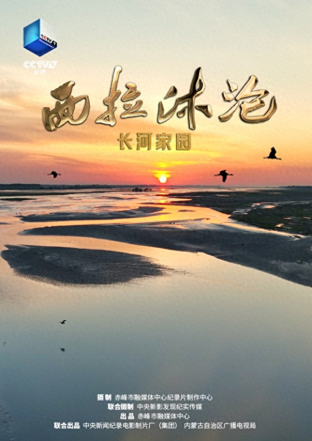 湿地草原藏生机，万物共生的秘境等你来探 西拉沐沦 第四集《长河家园》正在热播