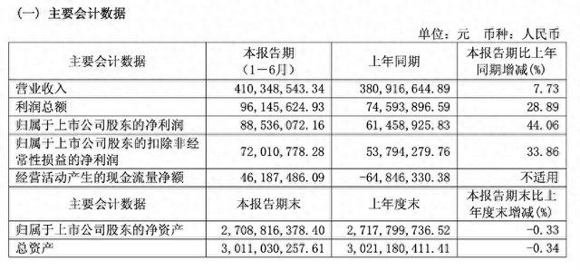 虹软科技上半年营收净利双增   IoT领域AI视觉项目完成建设
