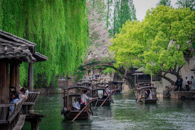五一春假游乌镇：一站式解锁蚕花盛会、木心美术馆特展、田园野趣、西栅光影……