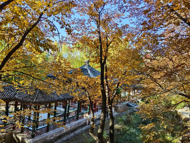 颐和园的秋天太美了