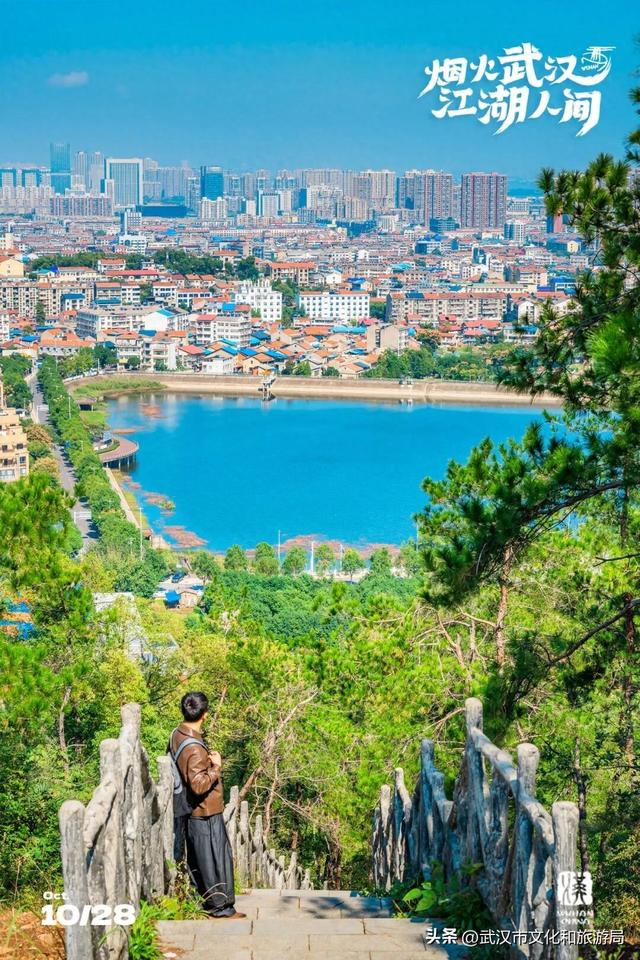 山顶看海，武汉这个机位绝了！