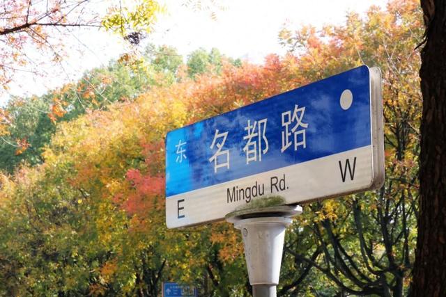 此时，闵行最美的地方就在……