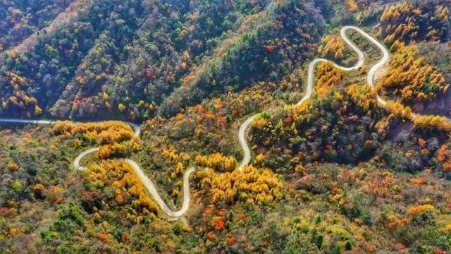遇见金秋！来汉中，邂逅一场秋日山野浪漫之约！