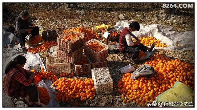 山东行游影记（194）—青州仰天山柿子沟（二）