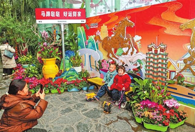 郑州植物园迎春花展